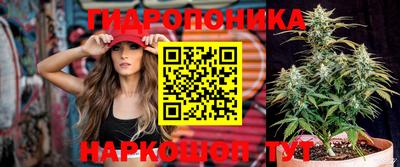 spice Балаково