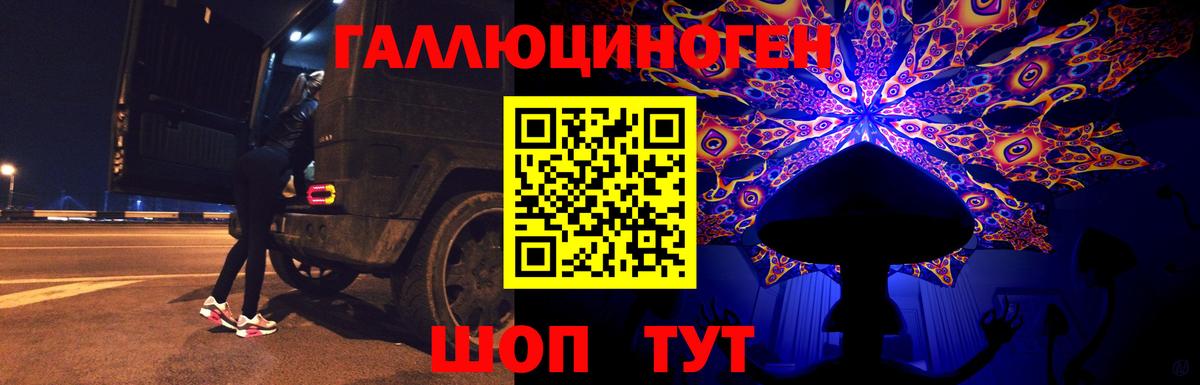 Гагарин  Галлюциногенные грибы Cubensis  купить   Галлюциногенные грибы Cubensis  Вход с VPN 
